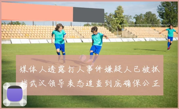 媒体人透露打人事件嫌疑人已被抓捕武汉领导表态追查到底确保公正处理