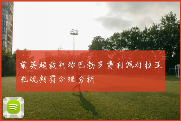 前英超裁判称巴勃罗费利佩对拉亚犯规判罚合理分析